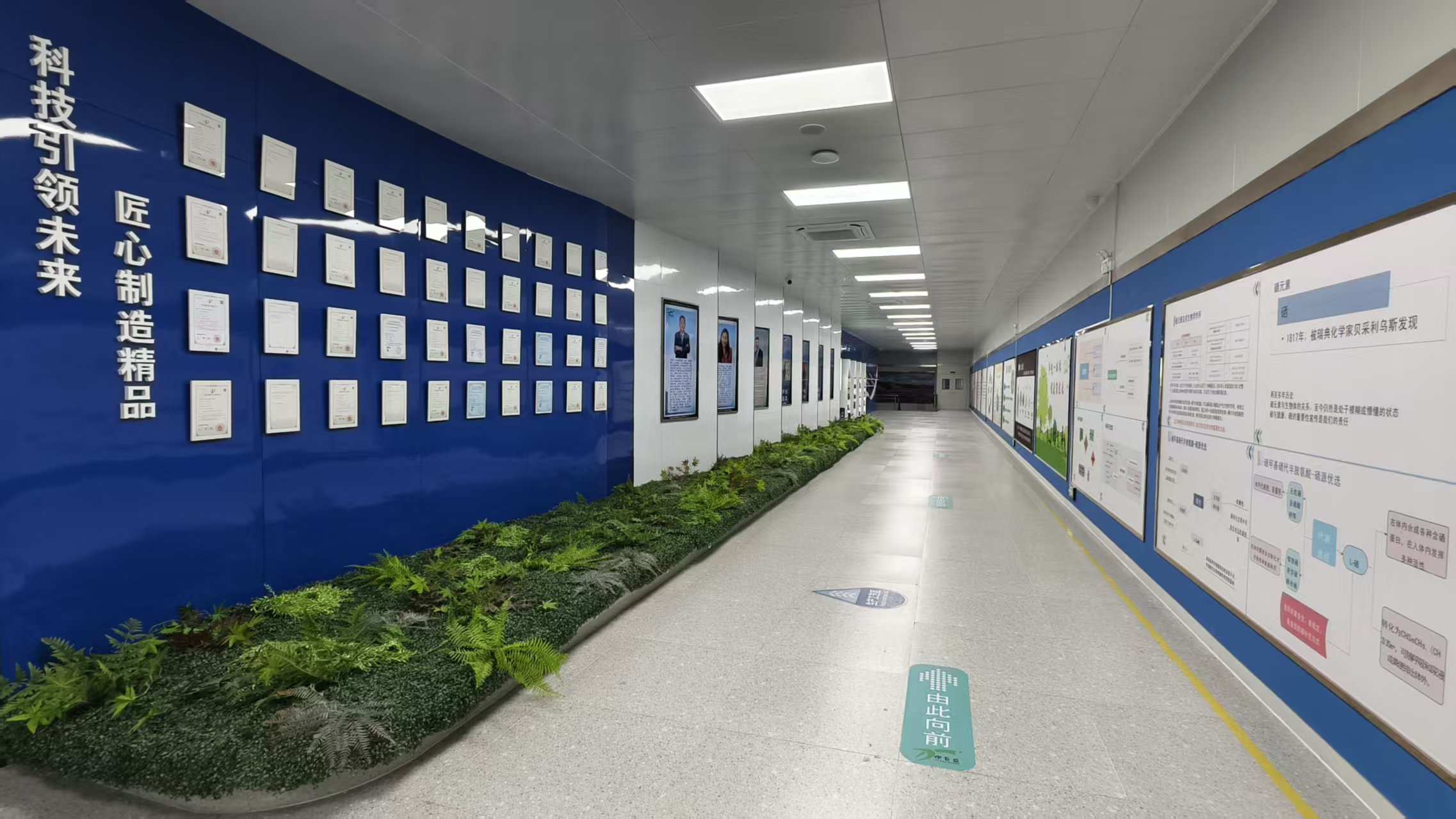 銀川伊百盛生物工程有限公司 銀川伊百盛生物工程有限公司