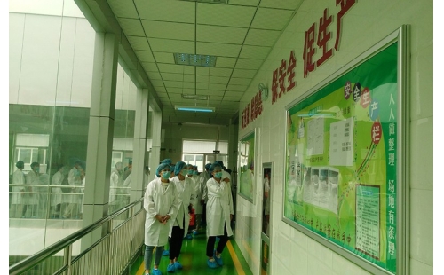 值公司成立十周年慶典，公司贊助萬名老人免費游寧夏系列活動