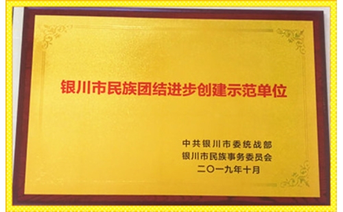 祝賀伊百盛獲得 “銀川市民族團(tuán)結(jié)進(jìn)步創(chuàng)建示范單位”榮譽稱號